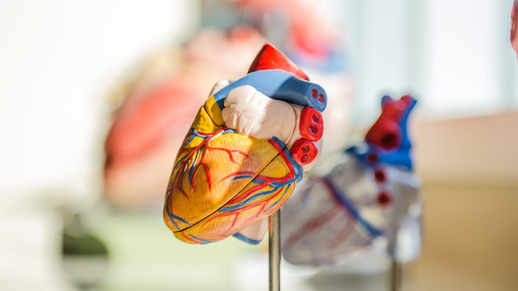 New toolkit assists GPs integrate Heart Health Checks