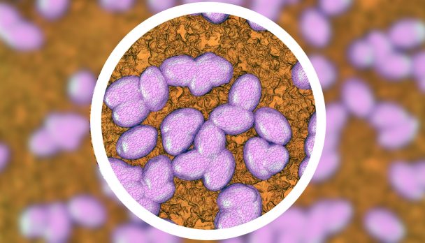 New research on countering superbugs