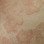 ep 4. red scaly lesions