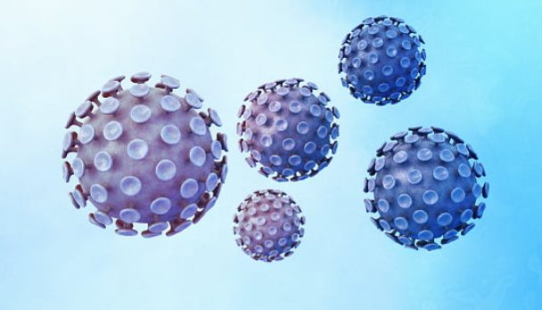 Human papillomaviruses HPV
