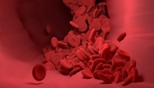 red-blood-cells-4256710_1280