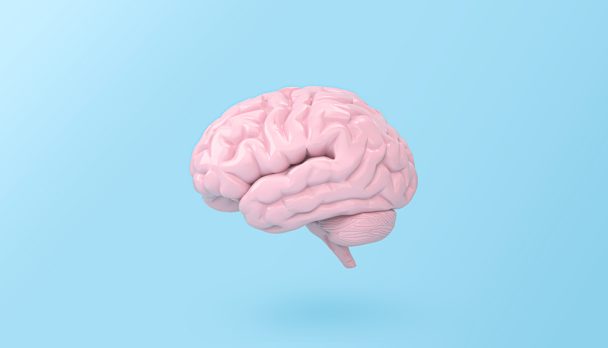 Minimal,Pink,Brain,In,Front,View,On,Blue,Background,,Thinking