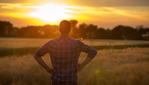 Young,Handsome,Farmer,Standing,In,Wheat,Field,With,Hands,On